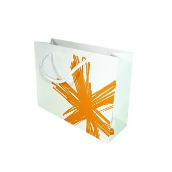 Custom Paper Bag with Handle